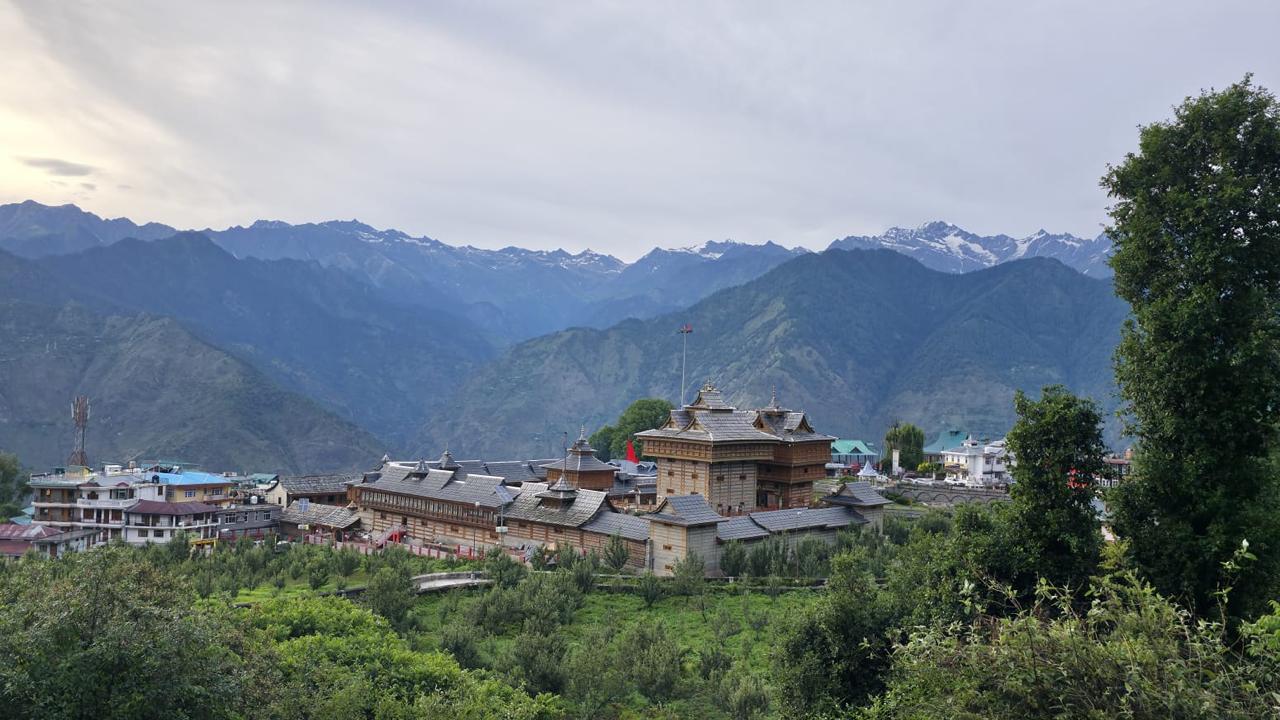 Nature View